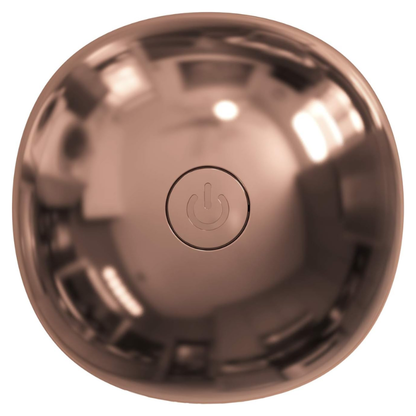 LV6020F0 – Masseur Visage Anti-Âge